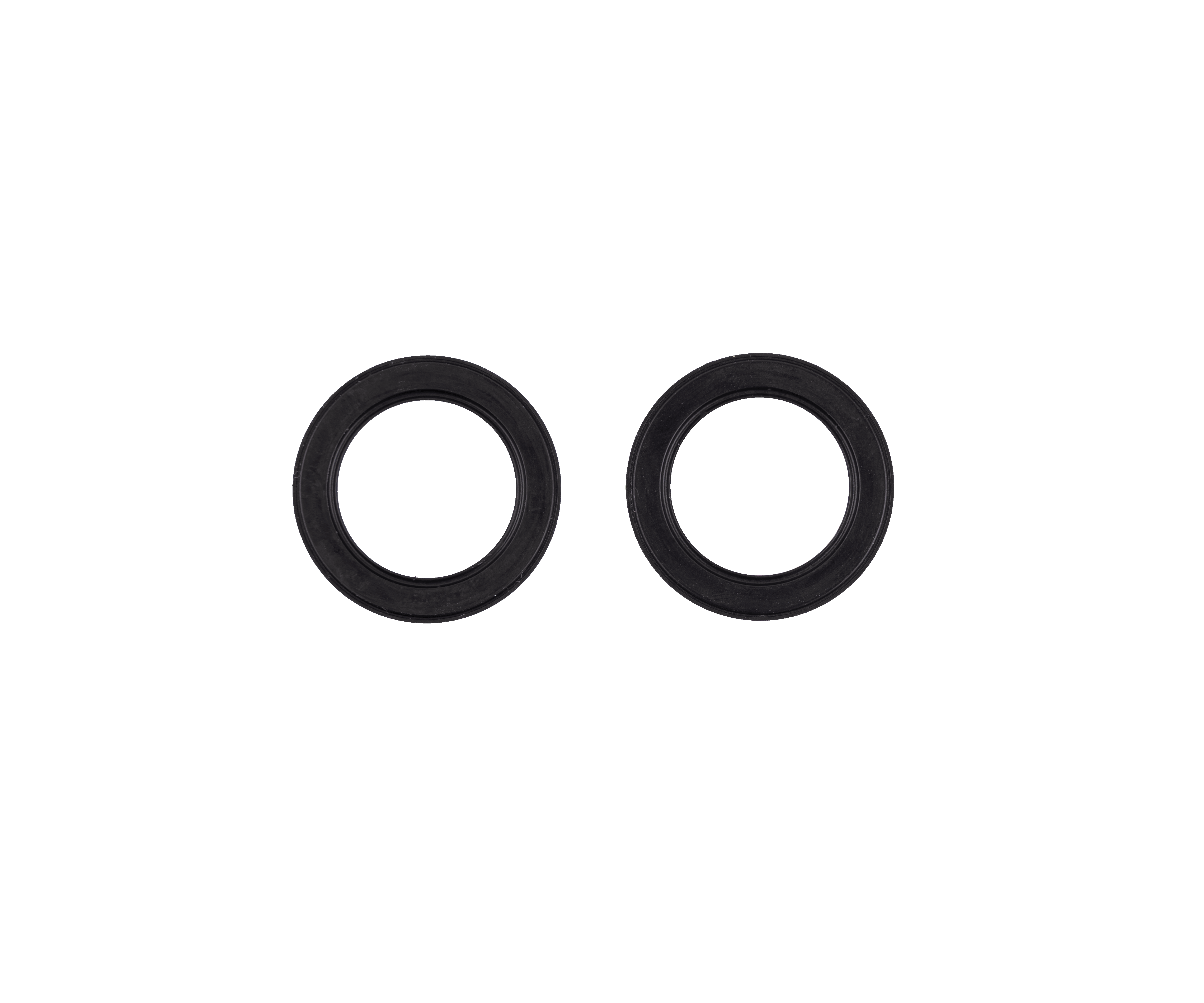 Pair of replacement seals for 6001 (RS)