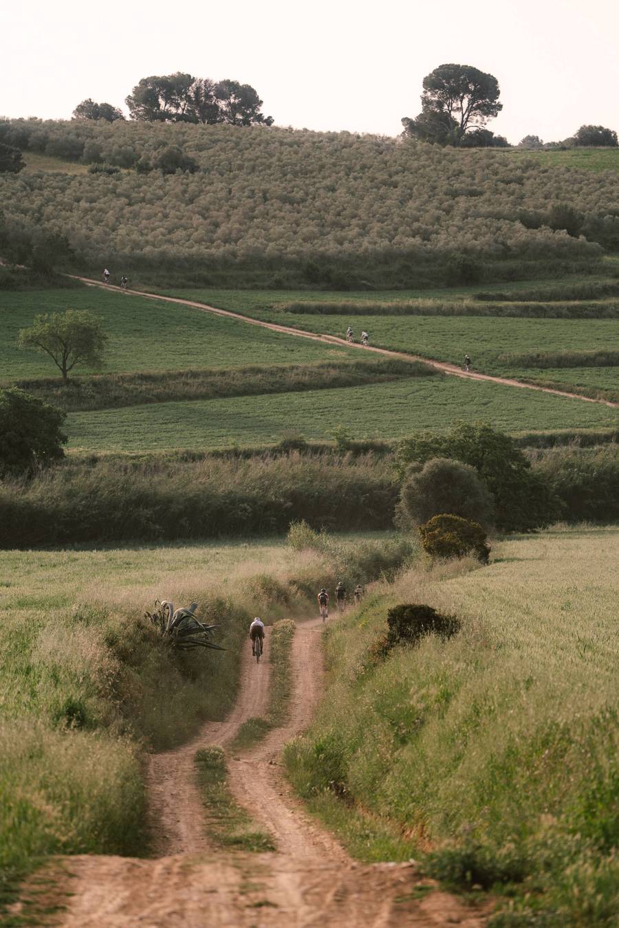 #color_Stainless Steel