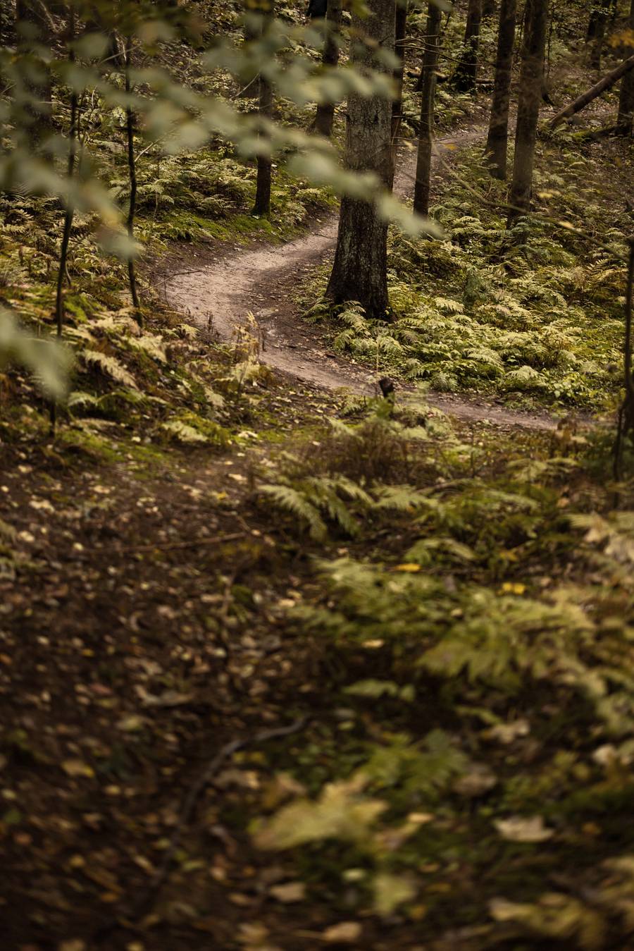 #color_Stainless Steel