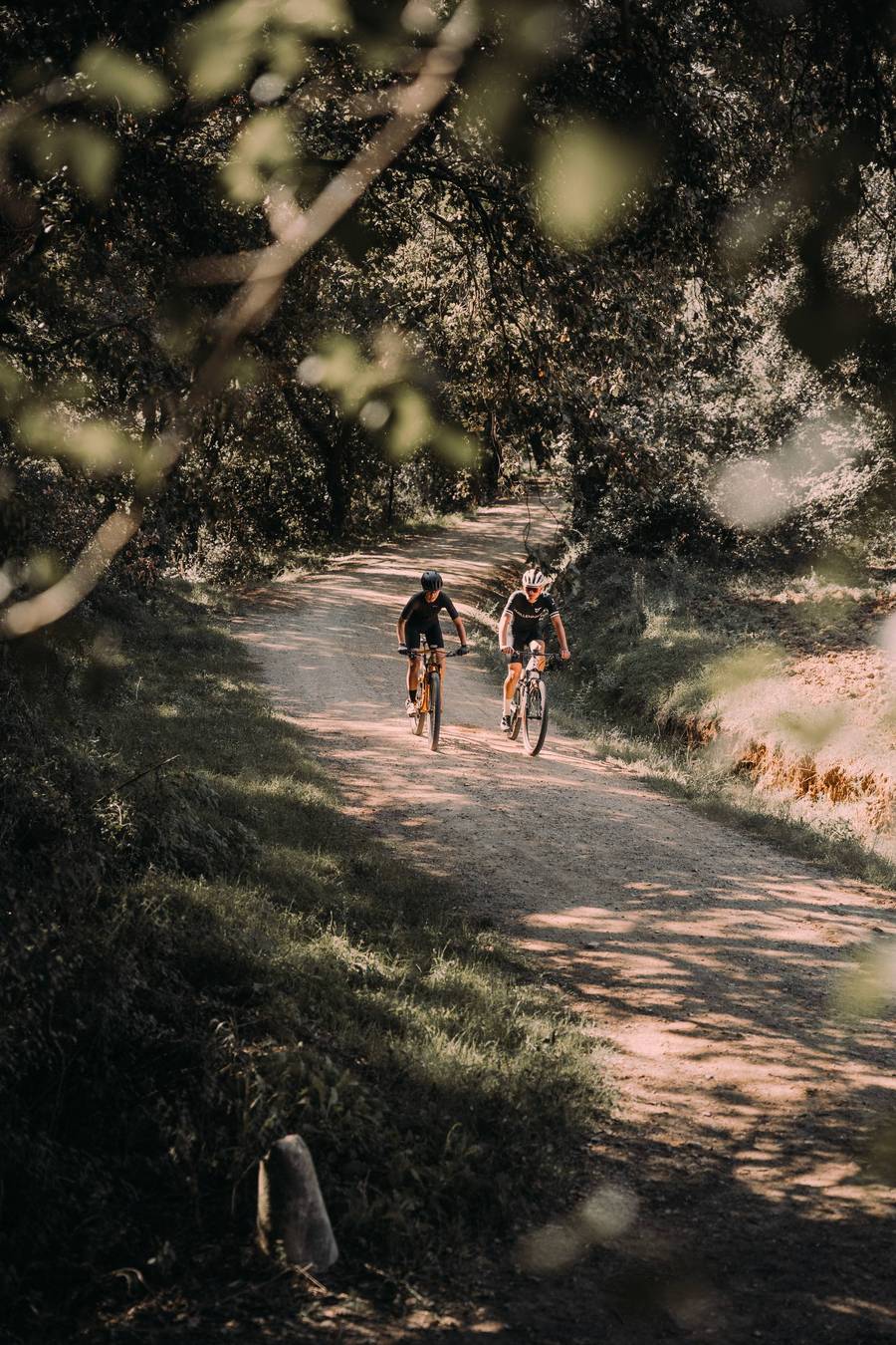 #color_Stainless Steel